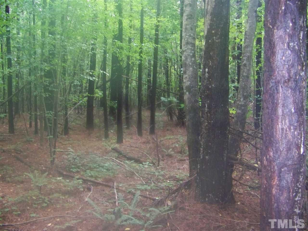 1 Roxboro Road Rougemont, NC 27572 - Photo 14 of 35