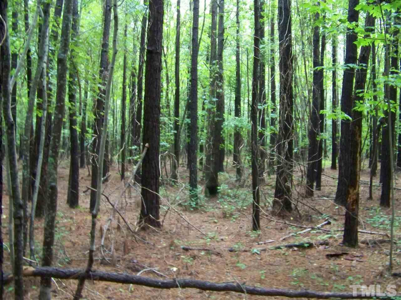 1 Roxboro Road Rougemont, NC 27572 - Photo 15 of 35 a view of a yard with lots of trees