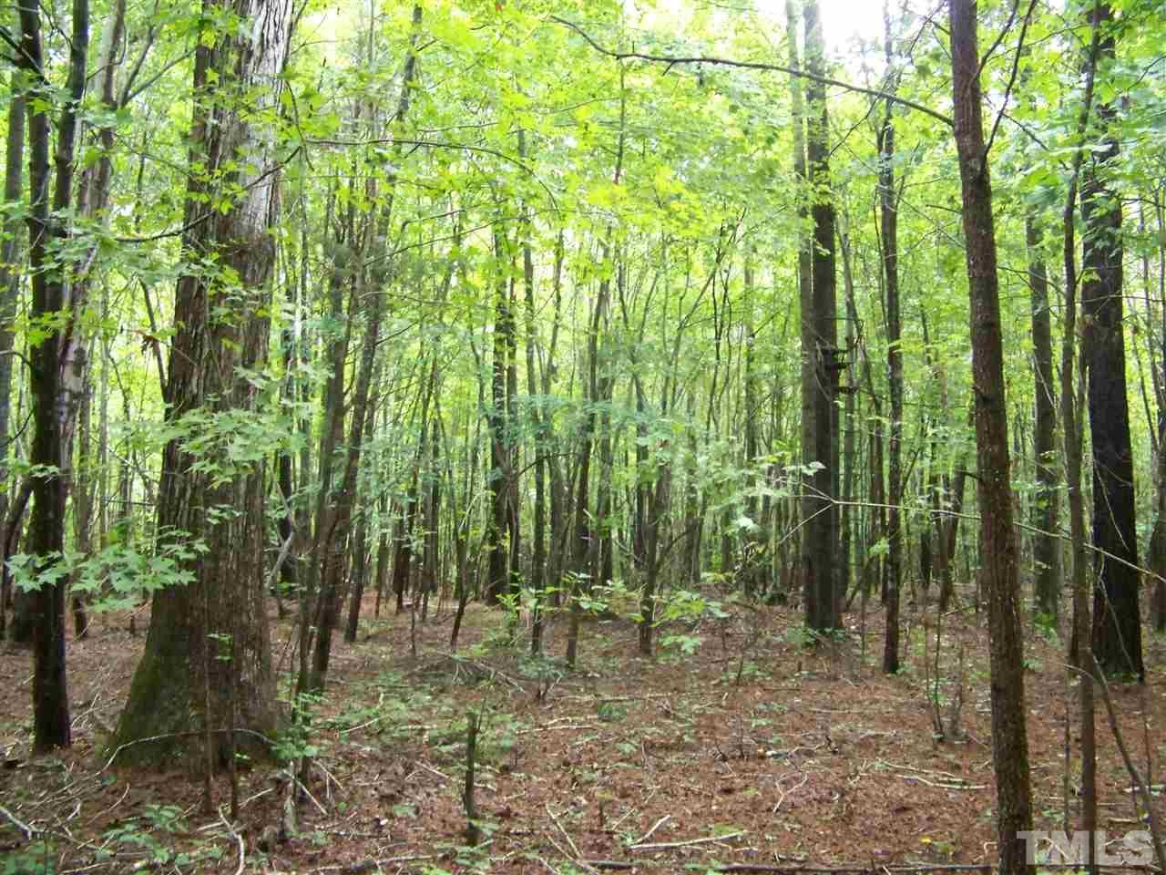 1 Roxboro Road Rougemont, NC 27572 - Photo 16 of 35 a view of outdoor space and garden
