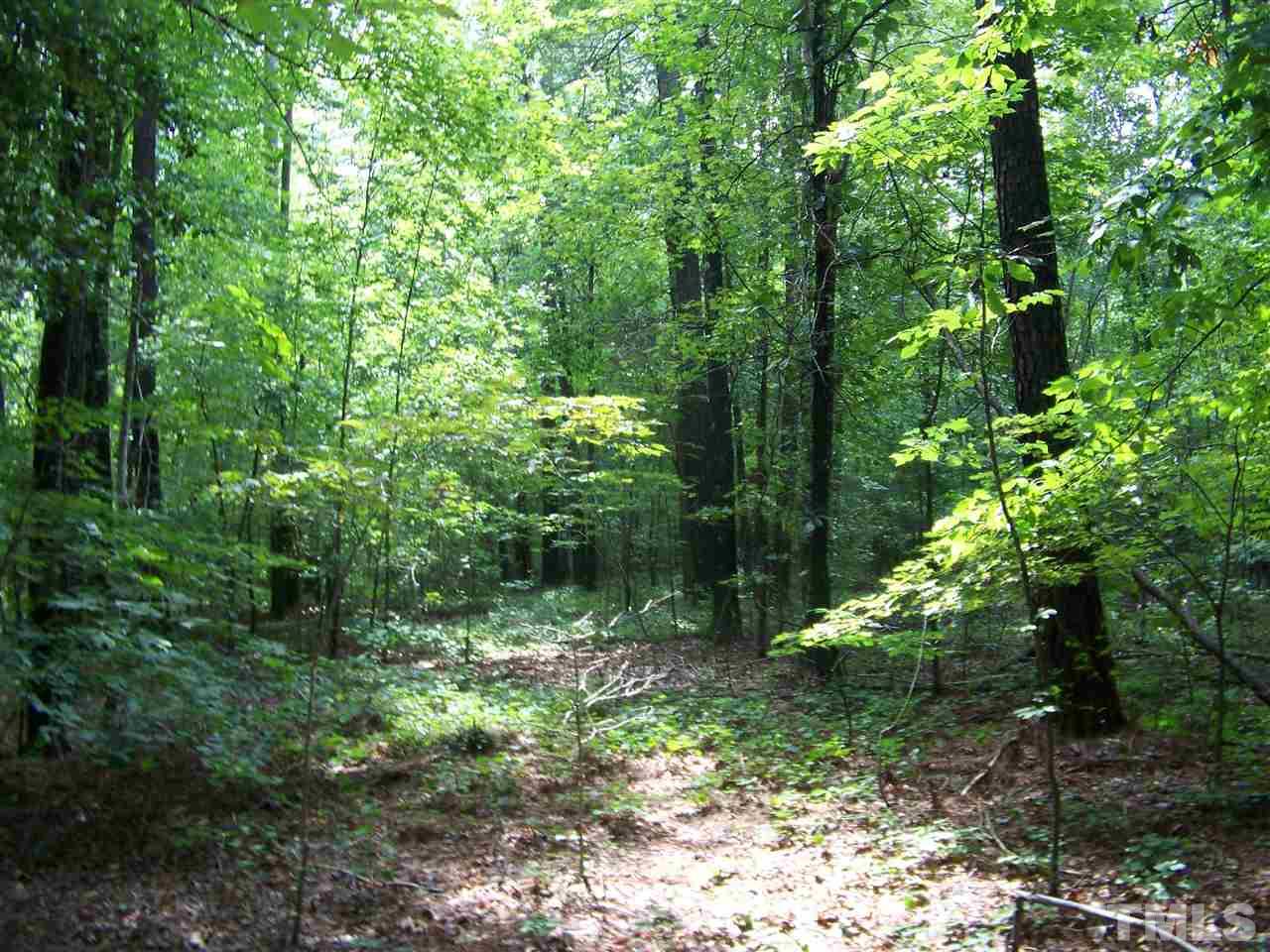 1 Roxboro Road Rougemont, NC 27572 - Photo 17 of 35 a view of outdoor space and a yard