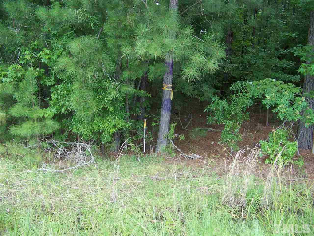 1 Roxboro Road Rougemont, NC 27572 - Photo 18 of 35 a view of outdoor space and yard