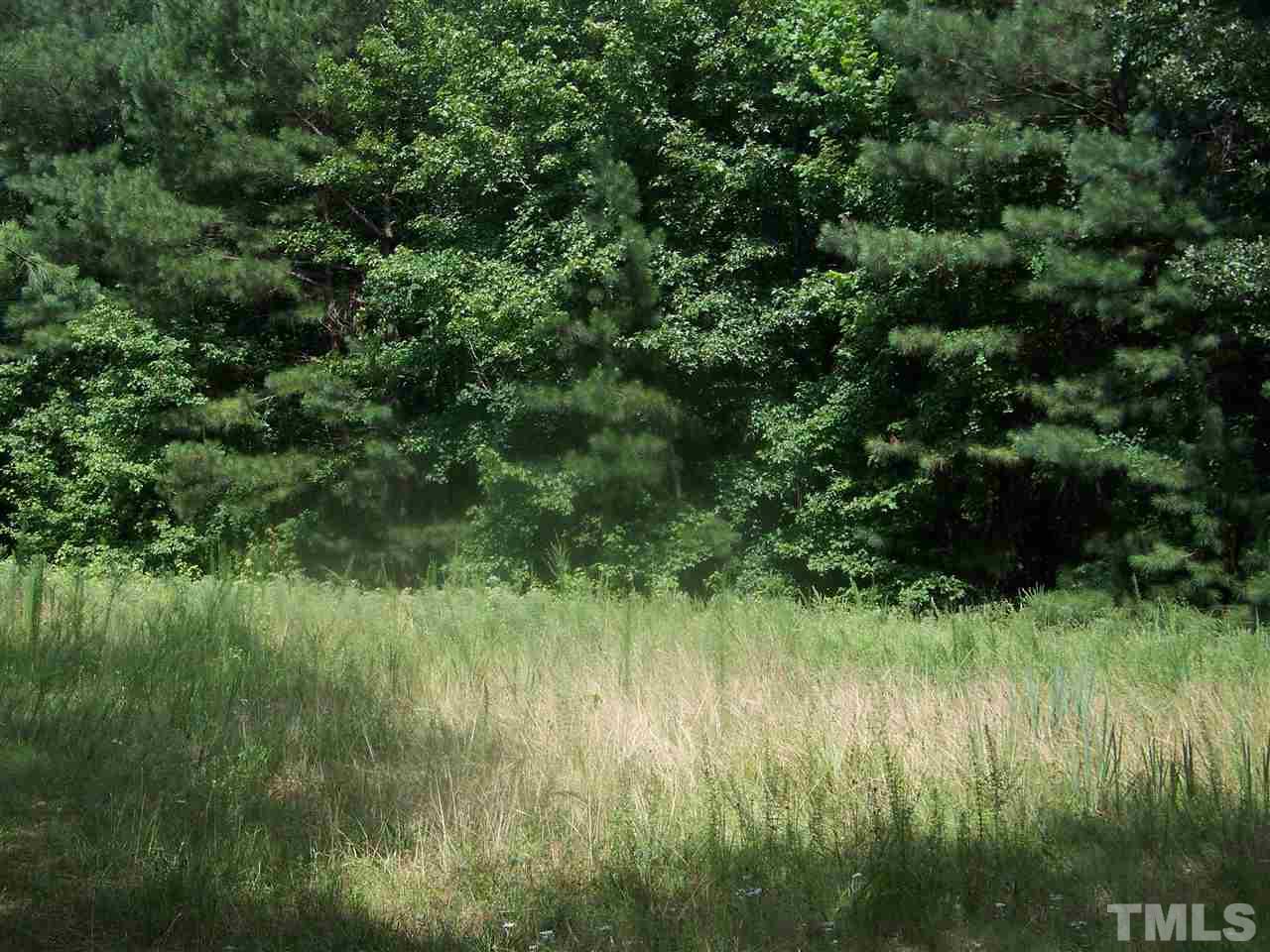 1 Roxboro Road Rougemont, NC 27572 - Photo 4 of 35 a view of a lush green forest