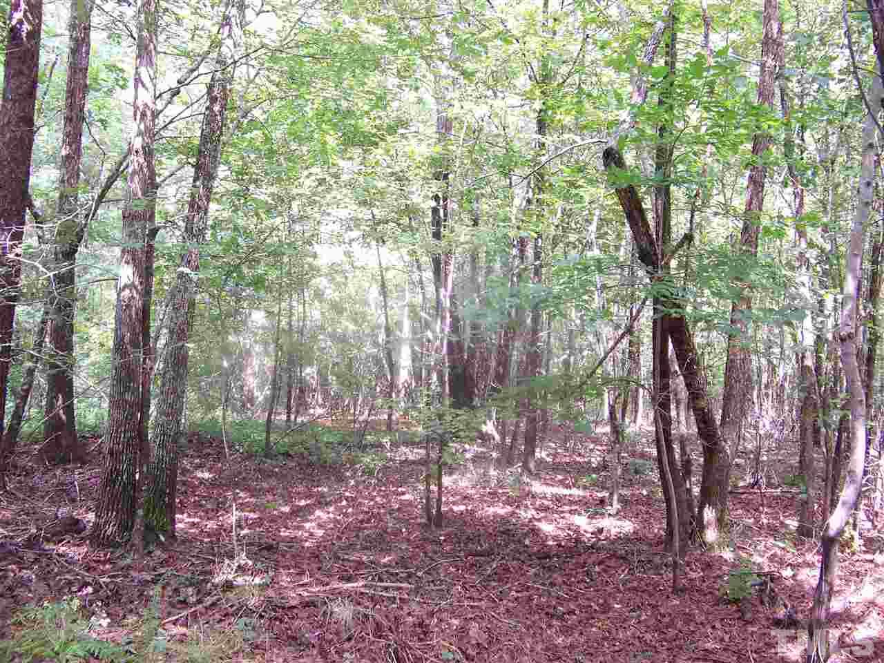 1 Roxboro Road Rougemont, NC 27572 - Photo 5 of 35 a backyard of a house with lots of green space