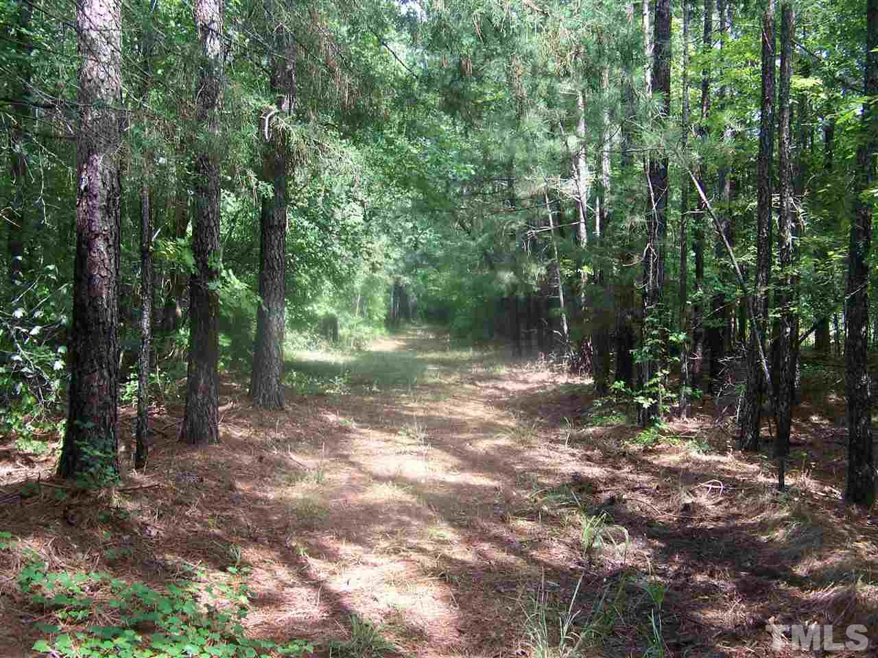1 Roxboro Road Rougemont, NC 27572 - Photo 6 of 35 a view of a forest with trees in the background