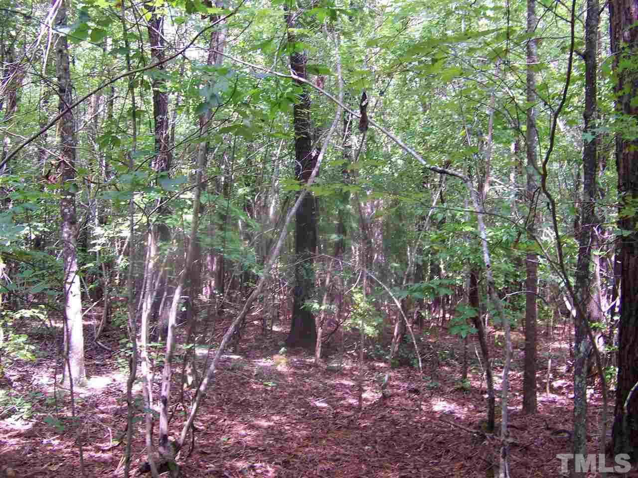 1 Roxboro Road Rougemont, NC 27572 - Photo 7 of 35 a backyard of a house with lots of trees