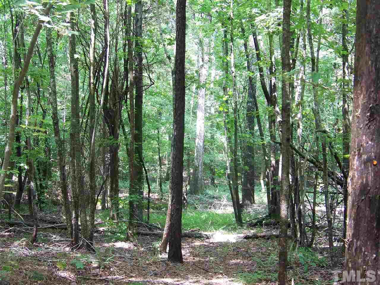 1 Roxboro Road Rougemont, NC 27572 - Photo 8 of 35 a view of forest
