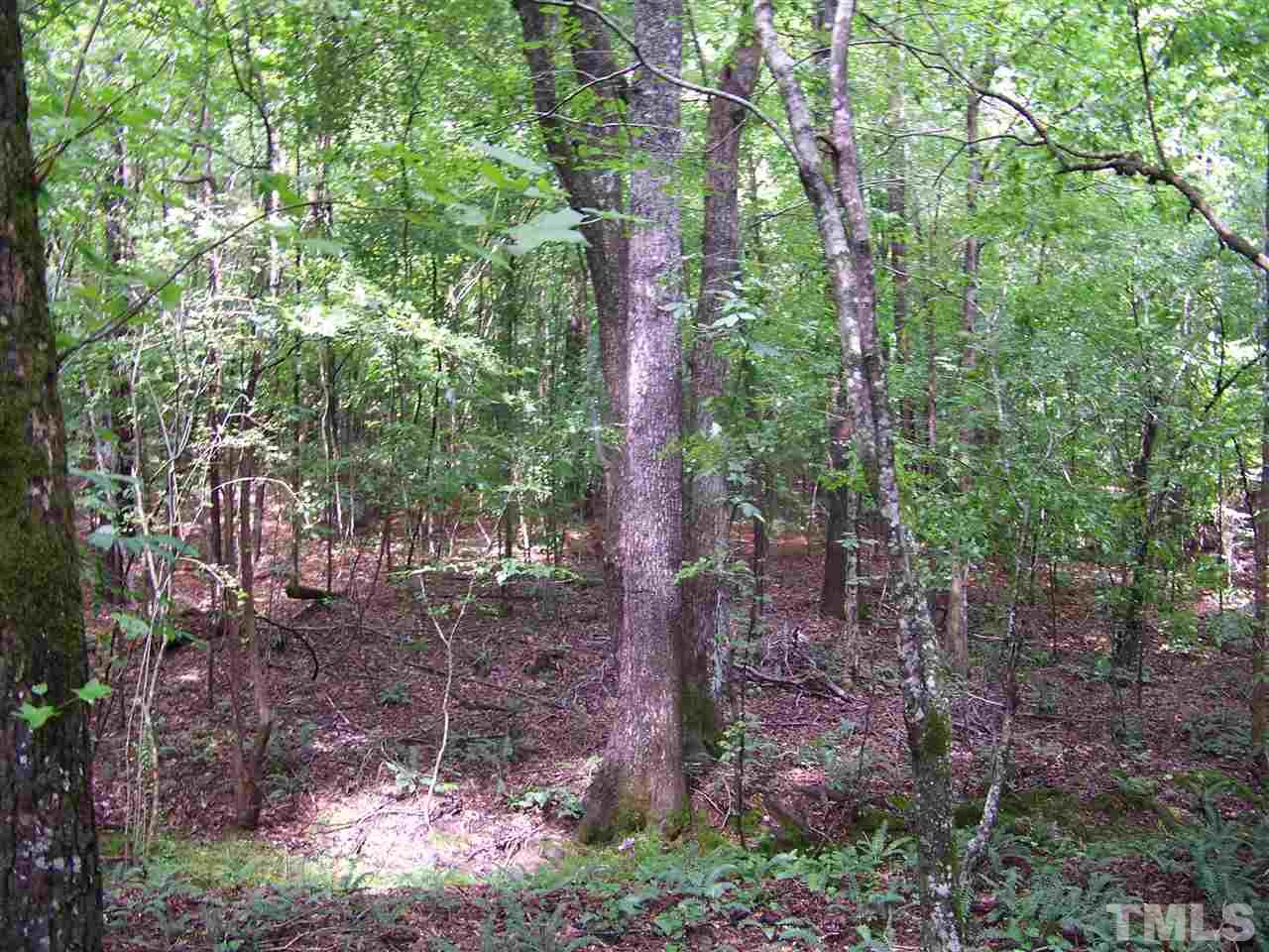 1 Roxboro Road Rougemont, NC 27572 - Photo 10 of 35 a view of forest