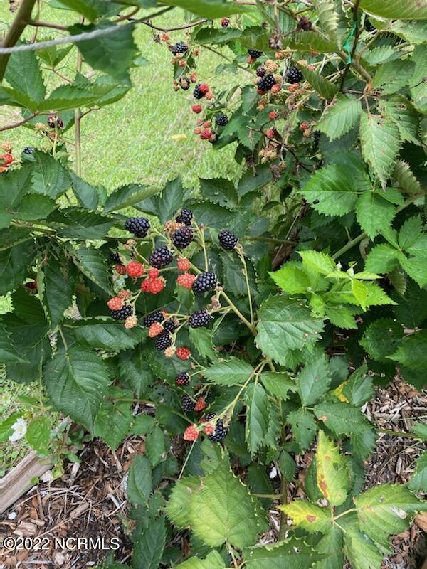 589 Hubert Boulevard Hubert, NC 28539 - Photo 47 of 49 vmacocss05_1294055476645-1-0