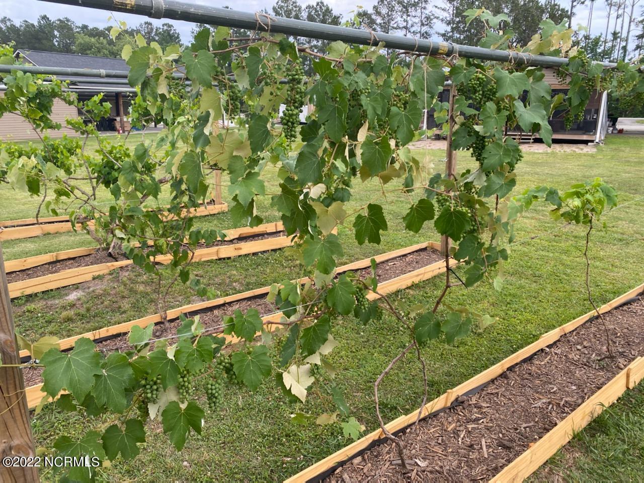 589 Hubert Boulevard Hubert, NC 28539 - Photo 49 of 49 vmacocss05_1294056362182-1-IMG953105