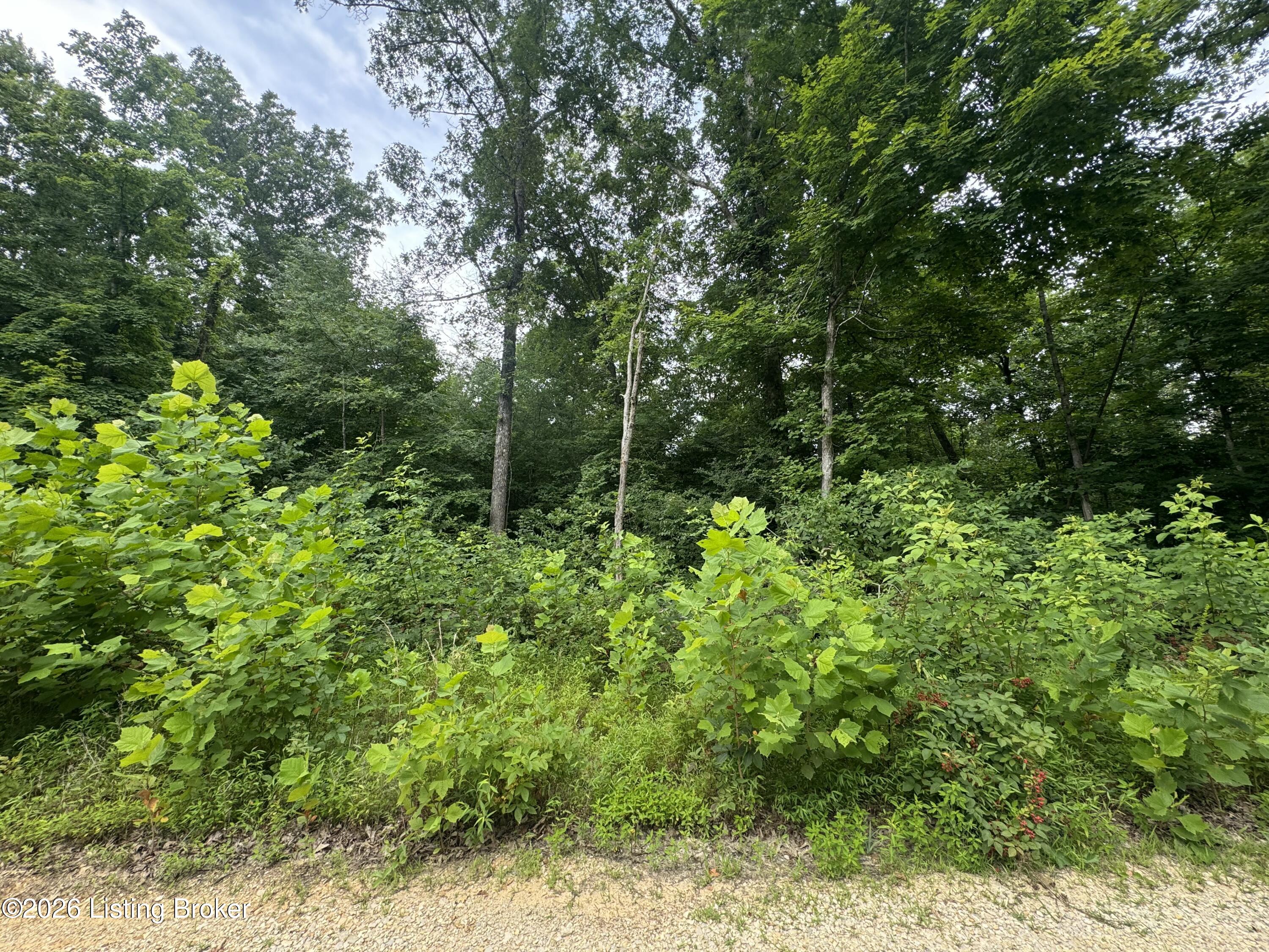 0 Ted Logsdon Road Clarkson, KY 42726 - Photo 2 of 9 IMG_0411