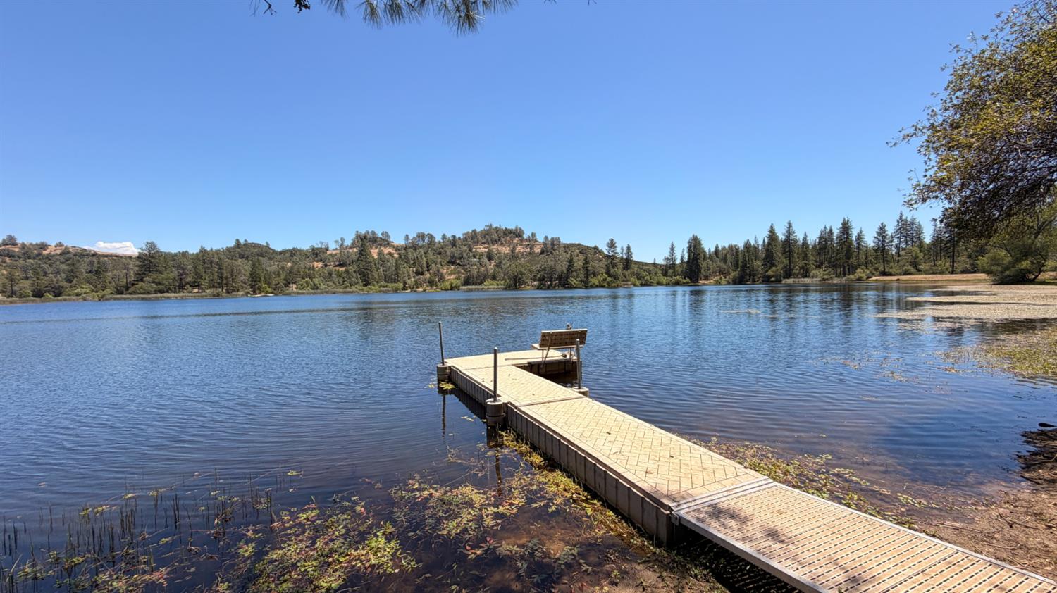 7436 Eagle View Drive Mountain Ranch, CA 95246 - Photo 47 of 51