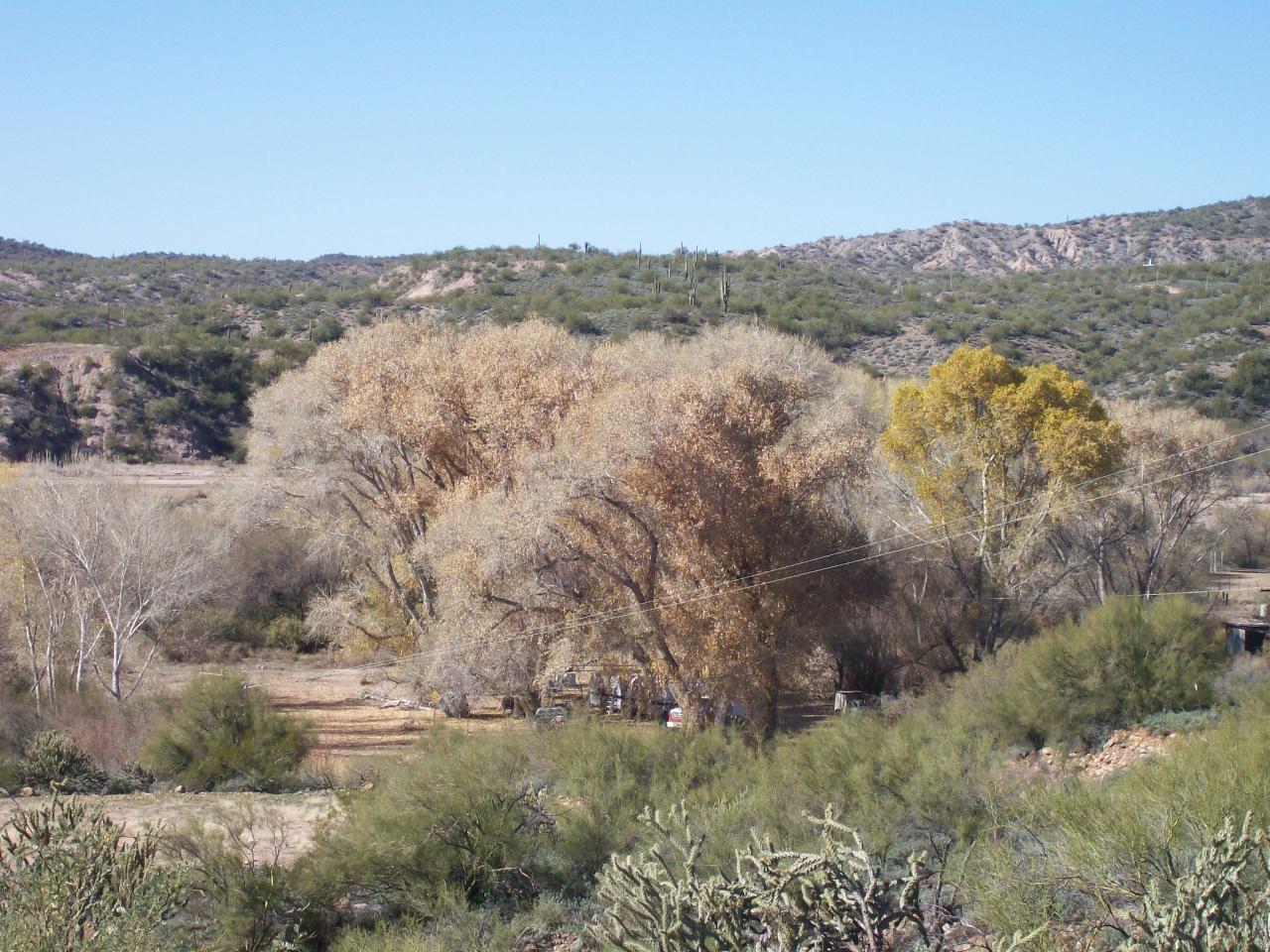 36899 South Rincon Road Wickenburg, AZ 85390 - Photo 3 of 6 View along Hassayampa River