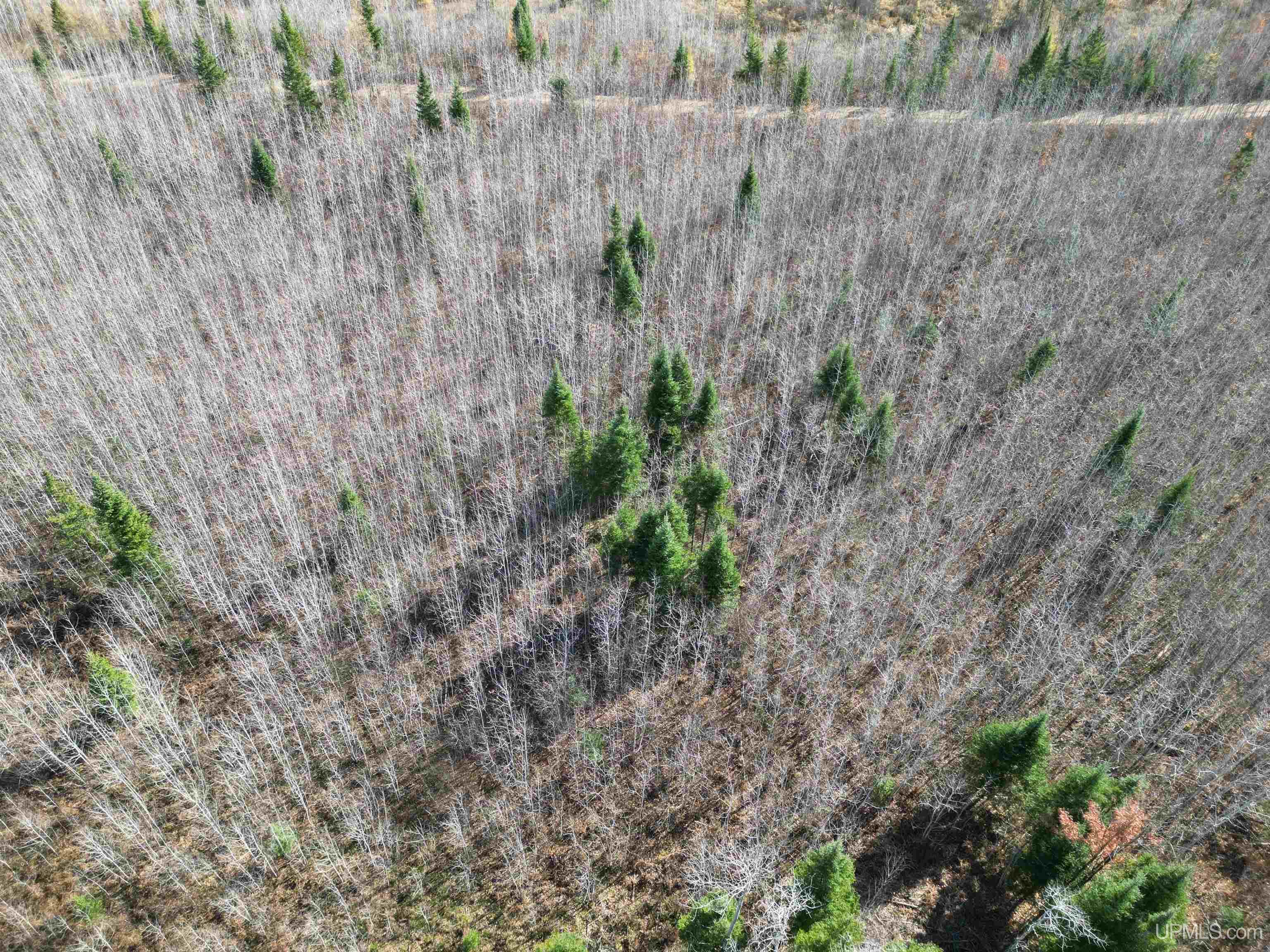 27.5 Rd 52 Ac Trail Gladstone, MI 49837 - Photo 3 of 20