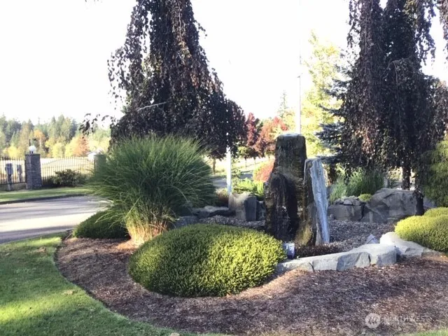 a view of a back yard