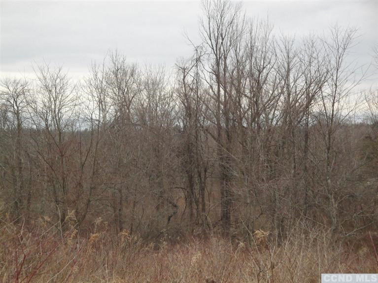 555 Church Road Livingston, NY 12534 - Photo 4 of 4 Photo 4