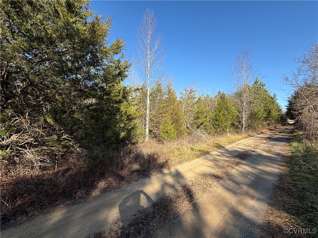 0 Volens Road Nathalie, VA 24577 - Photo 1 of 4 a view of a yard with trees
