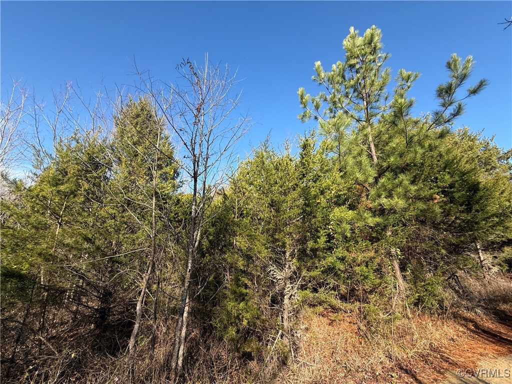 0 Volens Road Nathalie, VA 24577 - Photo 2 of 4 a view of a flower