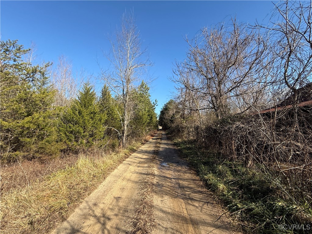 0 Volens Road Nathalie, VA 24577 - Photo 3 of 4 a view of a pathway with a yard