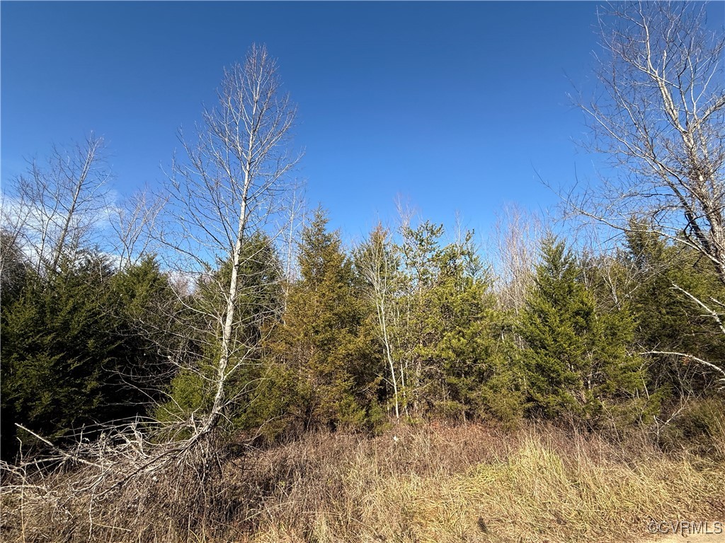 0 Volens Road Nathalie, VA 24577 - Photo 4 of 4 a view of a yard