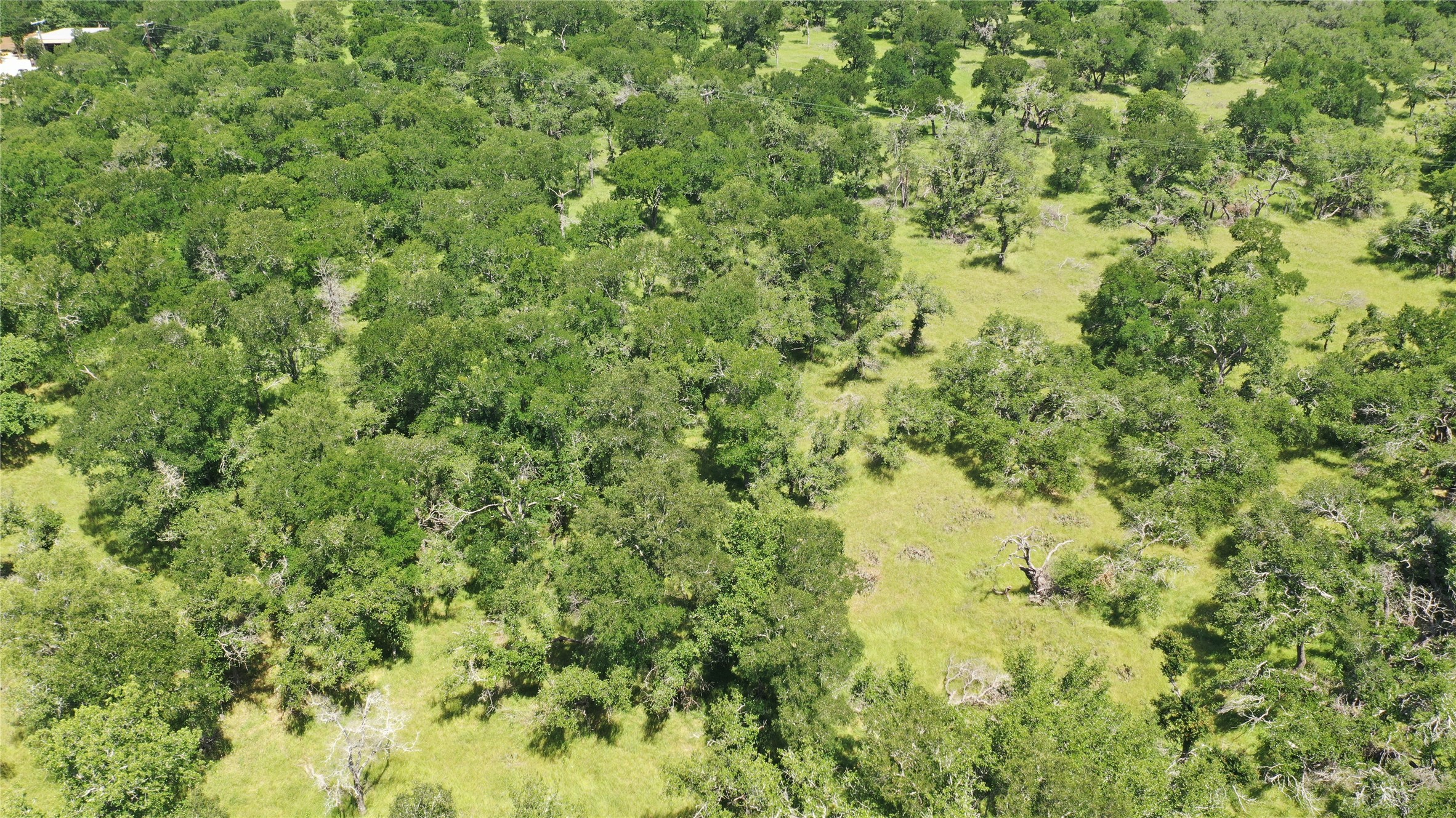 3215 County Road 305 Jarrell, TX 76537 - Photo 12 of 23