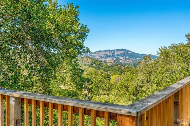 a view of a lush green forest