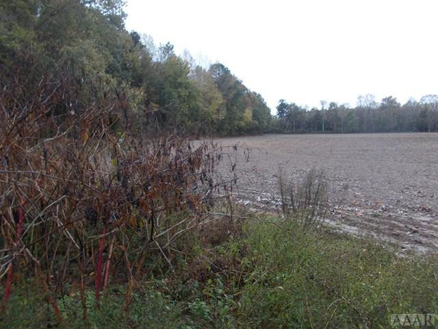 438 Chambers Ferry Road Edenton, NC 27932 - Photo 2 of 11 Left view of the 47.5 Acres