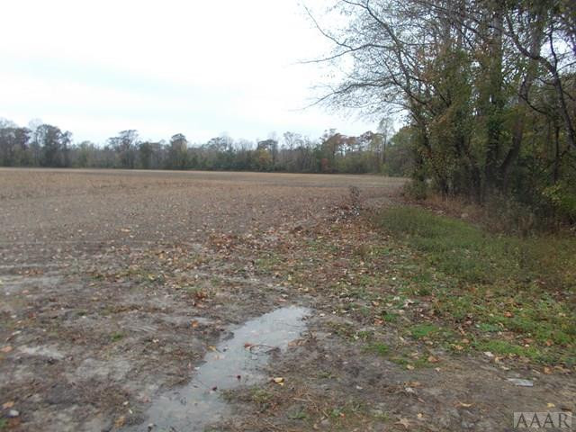 438 Chambers Ferry Road Edenton, NC 27932 - Photo 3 of 11 Looking across the field towards the creek area.