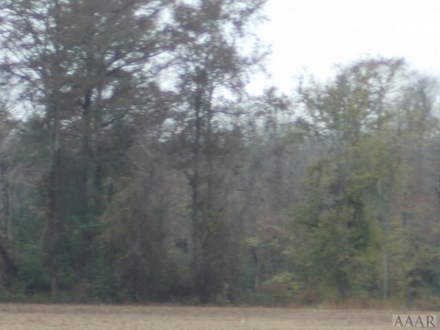 438 Chambers Ferry Road Edenton, NC 27932 - Photo 4 of 11 Photo zoom towards creek area