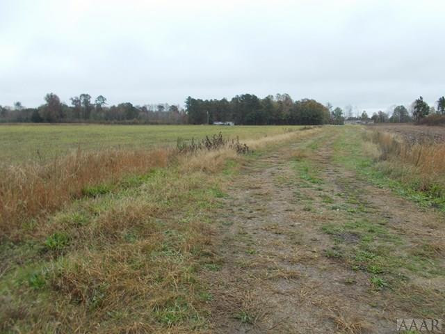 438 Chambers Ferry Road Edenton, NC 27932 - Photo 5 of 11 View towards state road