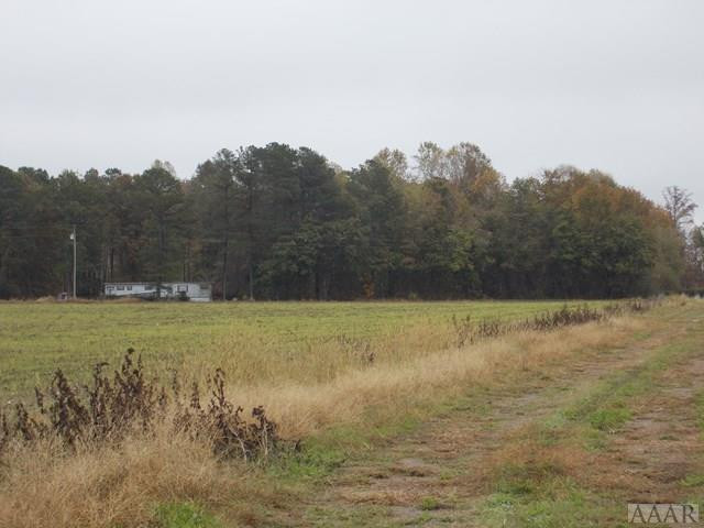 438 Chambers Ferry Road Edenton, NC 27932 - Photo 6 of 11 View across the two 3.69 Acre Lots