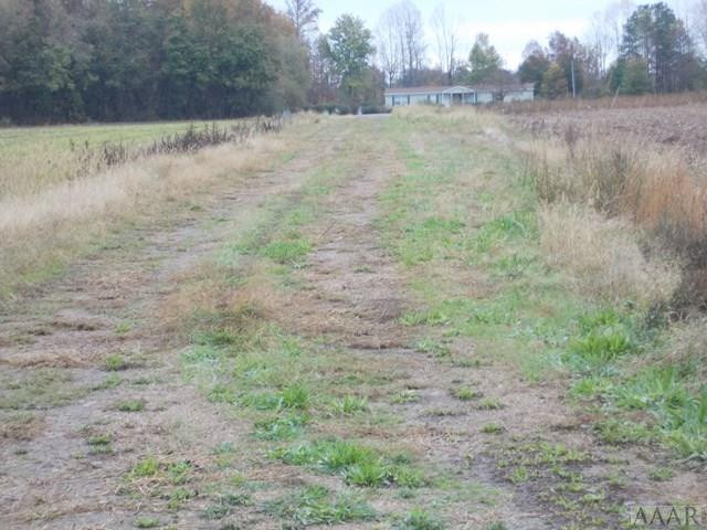 438 Chambers Ferry Road Edenton, NC 27932 - Photo 7 of 11 50 ft. wide path