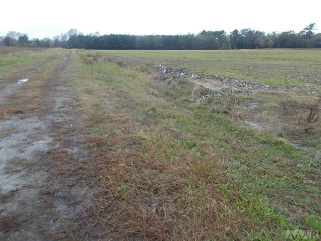438 Chambers Ferry Road Edenton, NC 27932 - Photo 8 of 11 50 ft. wide path