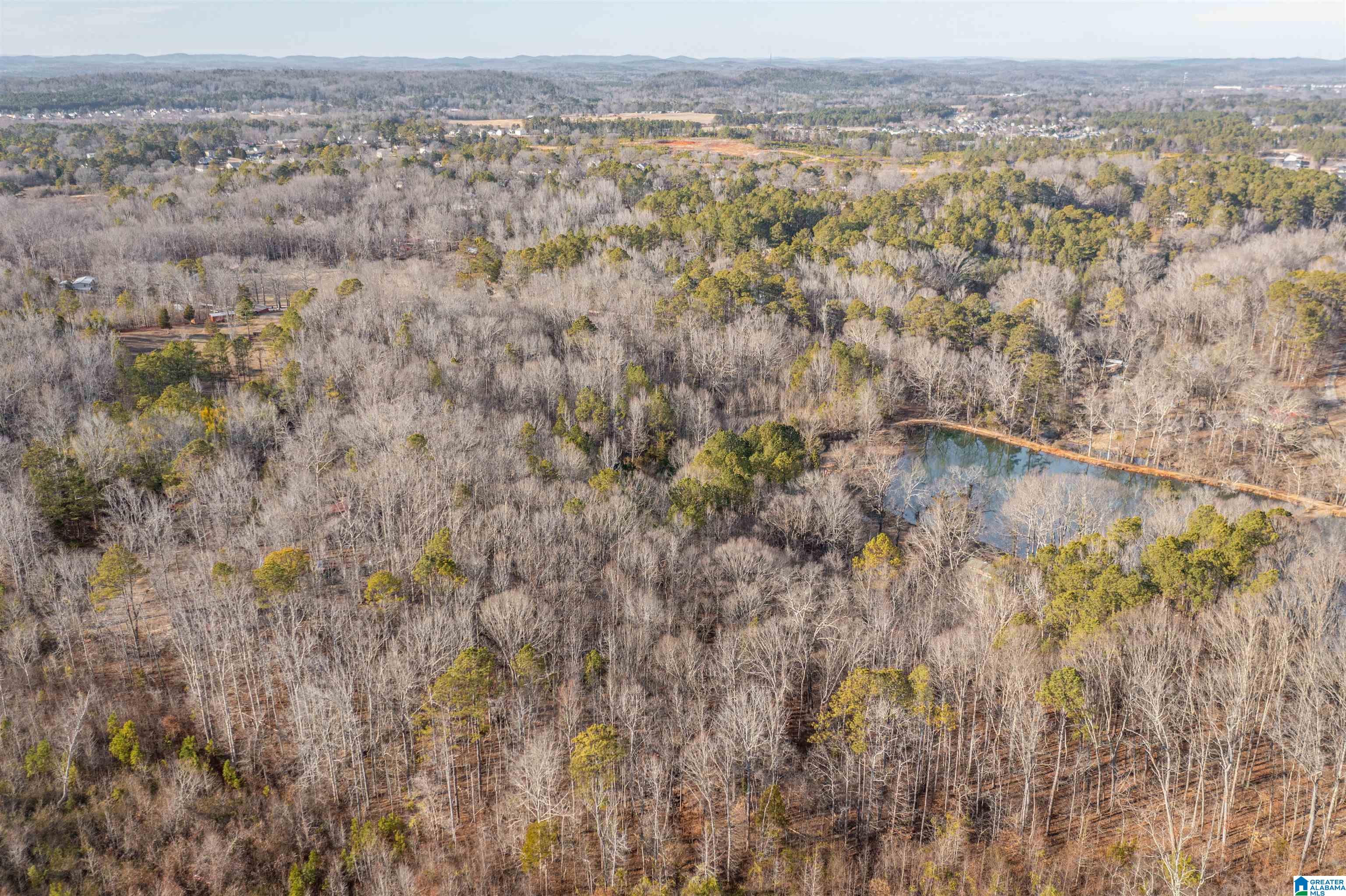 487 Aderholdt Mill Road Jacksonville, AL 36265 - Photo 9 of 34