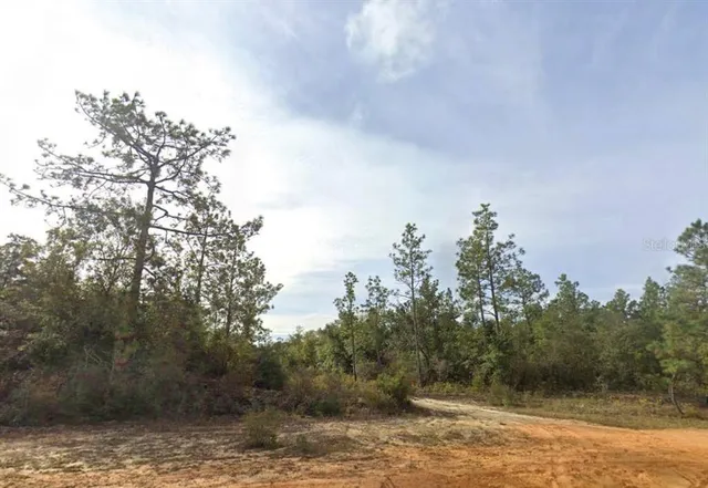 $7,500 | Kings Drive, Chipley, FL 32428