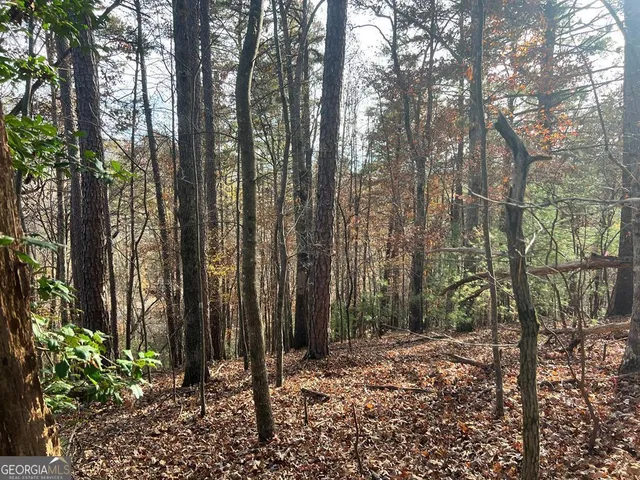 $18,500 | 71 Dryad Court, Ellijay, GA 30540