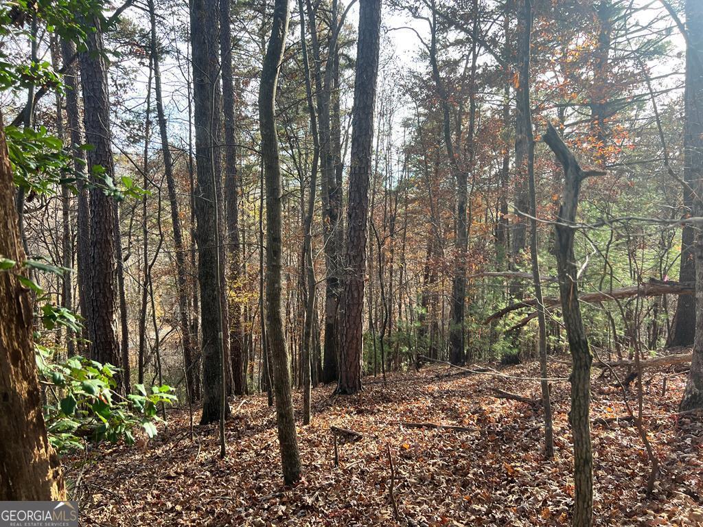 71 Dryad Court Ellijay, GA 30540 - Photo 2 of 9 a backyard of a house with lots of green space