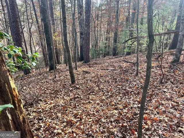 $18,500 | 71 Dryad Court, Ellijay, GA 30540