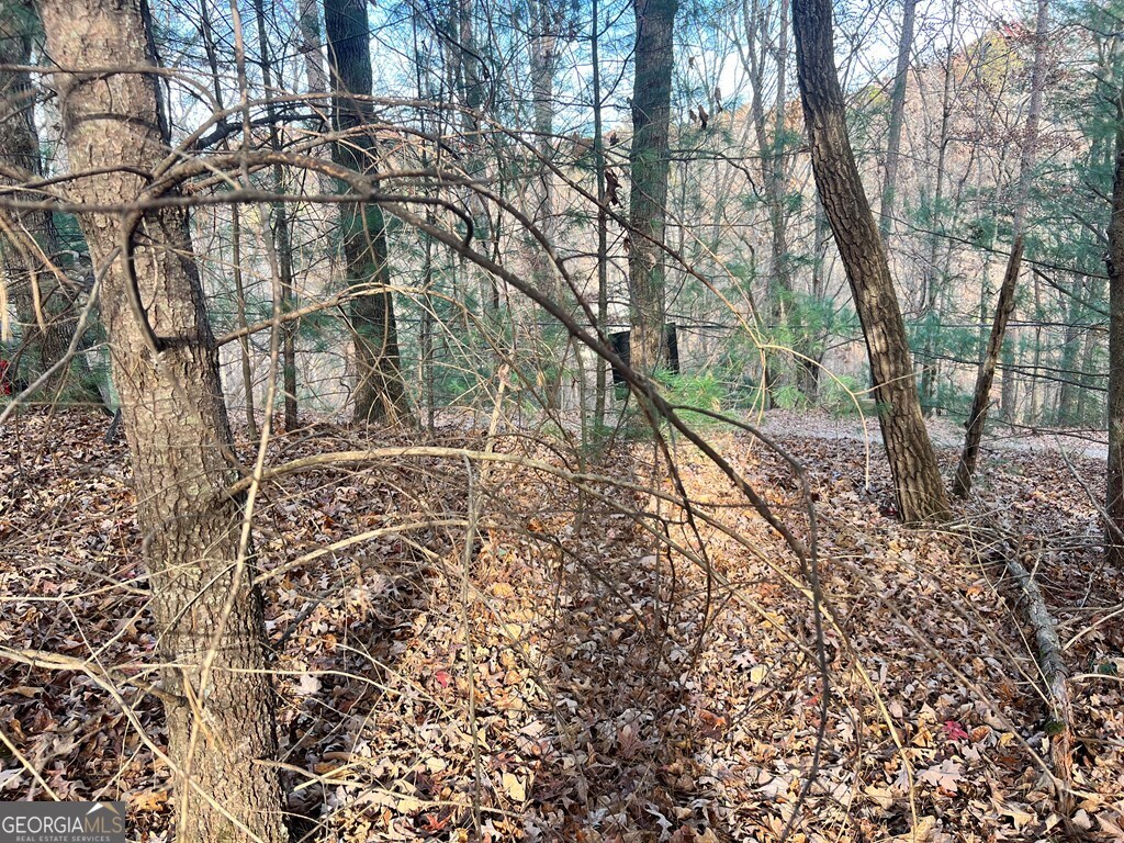 71 Dryad Court Ellijay, GA 30540 - Photo 4 of 9 a view of a yard with a tree