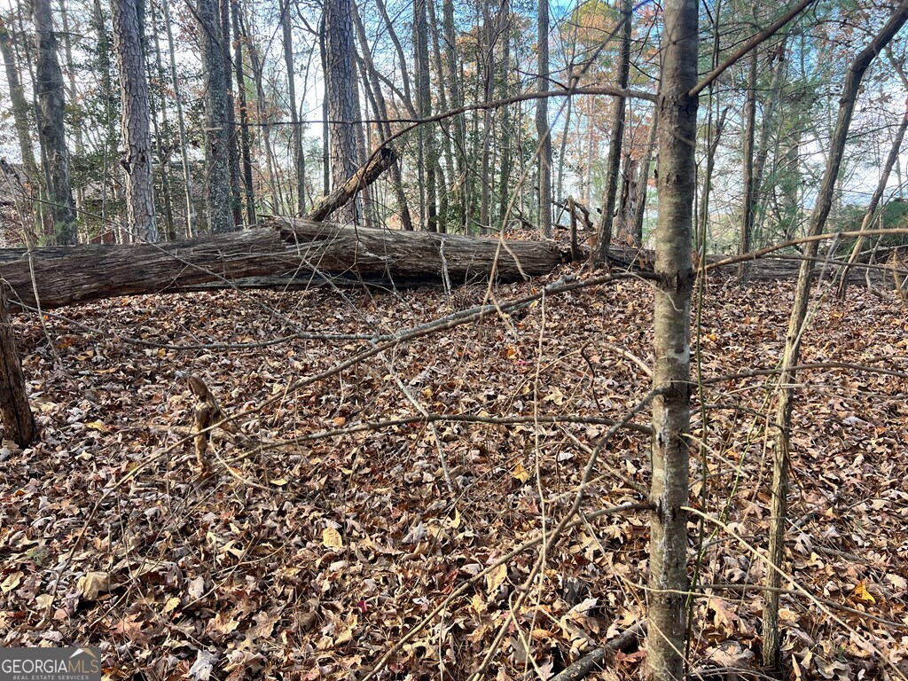 71 Dryad Court Ellijay, GA 30540 - Photo 5 of 9 a backyard of a house with lots of green space