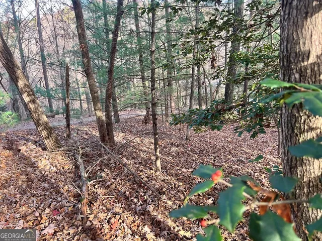 $18,500 | 71 Dryad Court, Ellijay, GA 30540