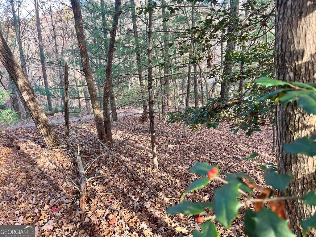 71 Dryad Court Ellijay, GA 30540 - Photo 6 of 9 a backyard of a house with lots of green space