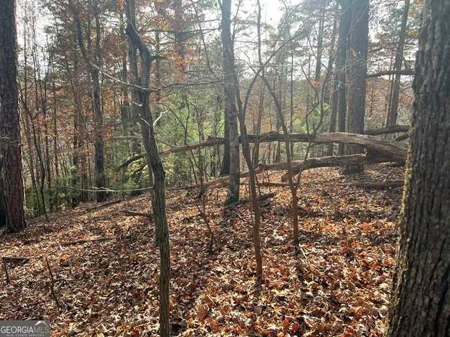 $18,500 | 71 Dryad Court, Ellijay, GA 30540