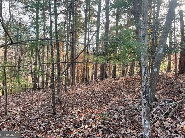 $18,500 | 71 Dryad Court, Ellijay, GA 30540