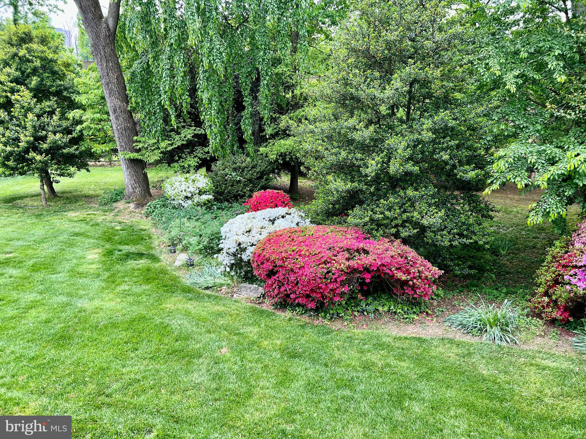 7921 Falstaff Road McLean, VA 22102 - Photo 70 of 89 Beautiful landscaping!