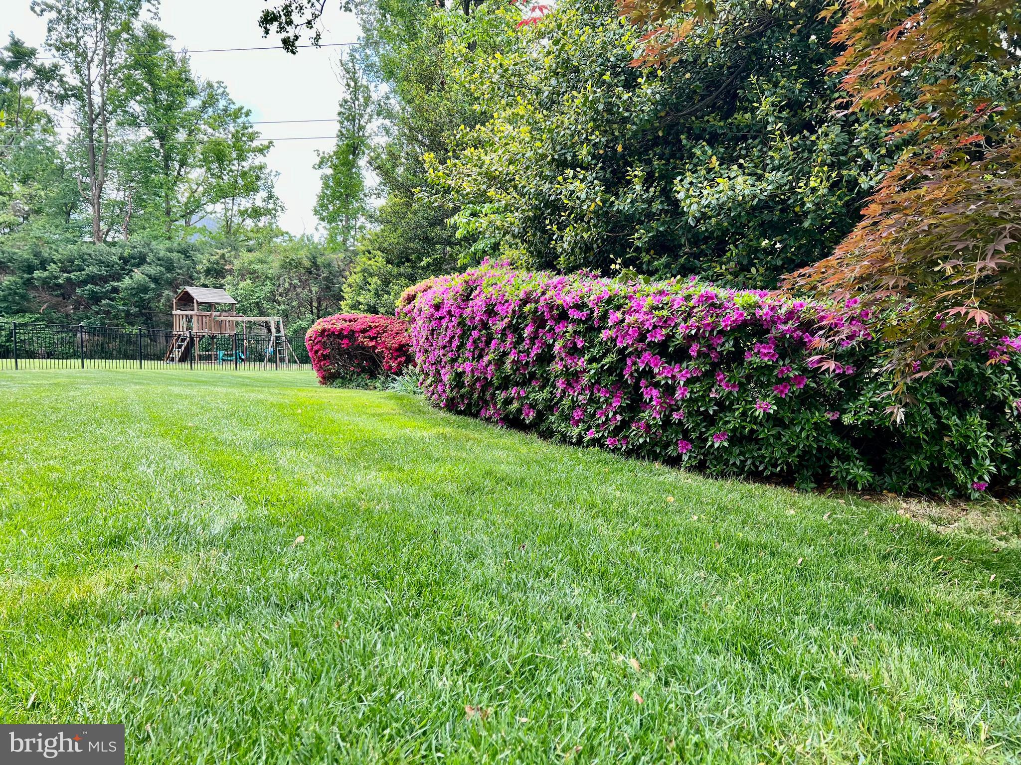 7921 Falstaff Road McLean, VA 22102 - Photo 74 of 89 peaceful paradise