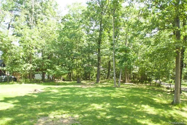 a view of outdoor space with trees all around