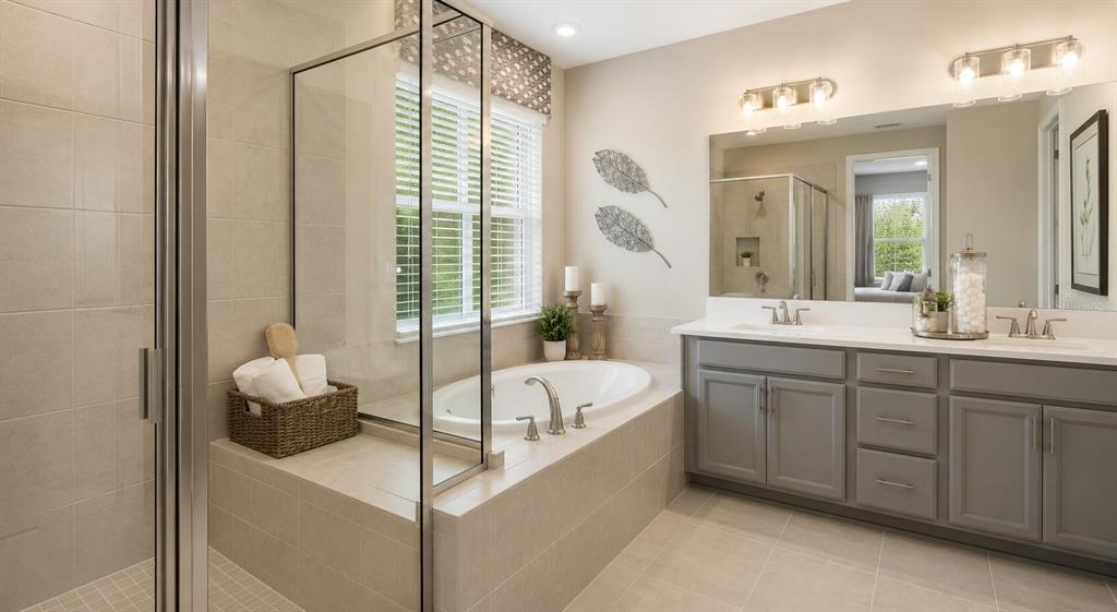 33320 Castaway Loop Wesley Chapel, FL 33543 - Photo 11 of 23 a bathroom with a tub sink and mirror