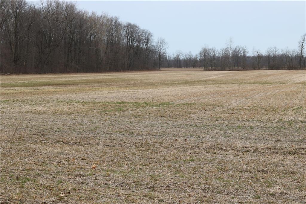 -parcel 1) Freemont Moore Road Sheridan, IN 46069 - Photo 8 of 15 Gallery Image 8