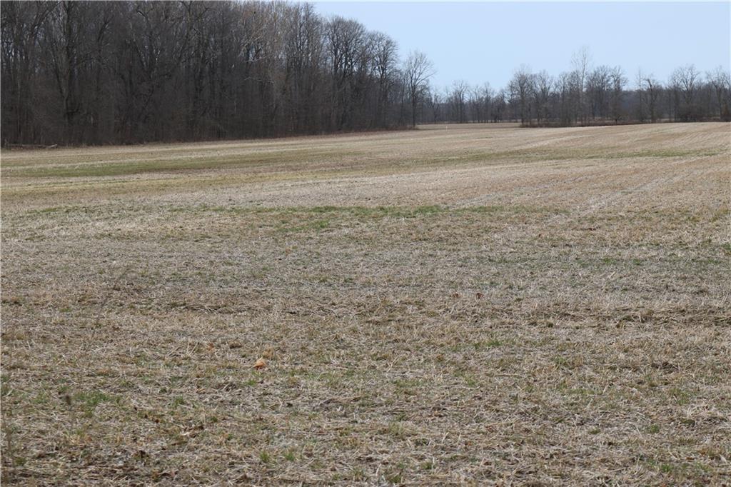 -parcel 1) Freemont Moore Road Sheridan, IN 46069 - Photo 10 of 15 Gallery Image 10