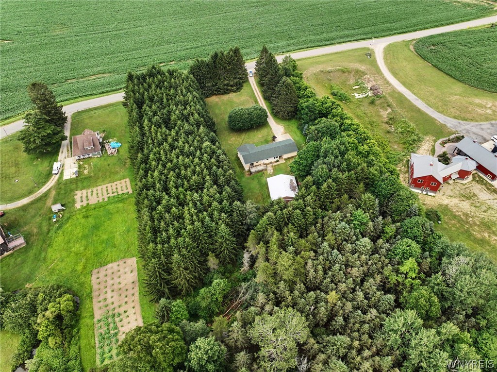 9411 Very Road Machias, NY 14101 - Photo 13 of 43